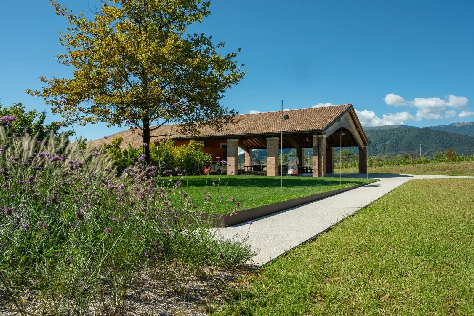 Paesaggio della Cantina Fasol Menin tra i vigneti