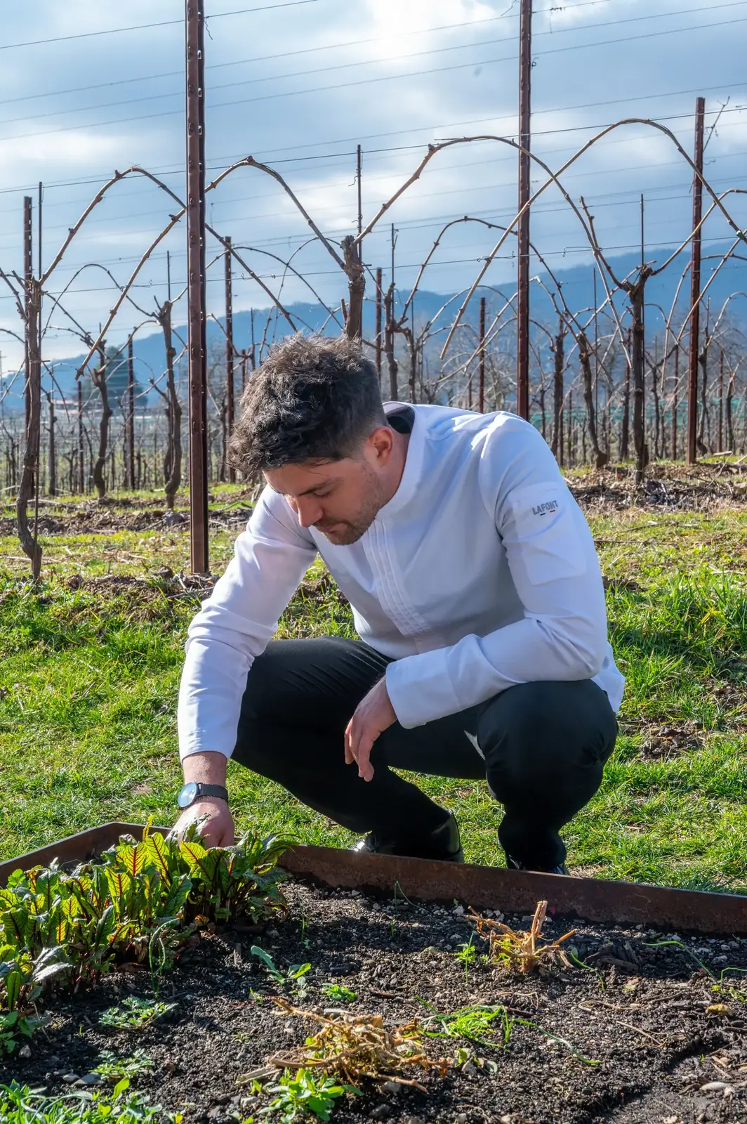 Chef Simone Selva tra i vigneti