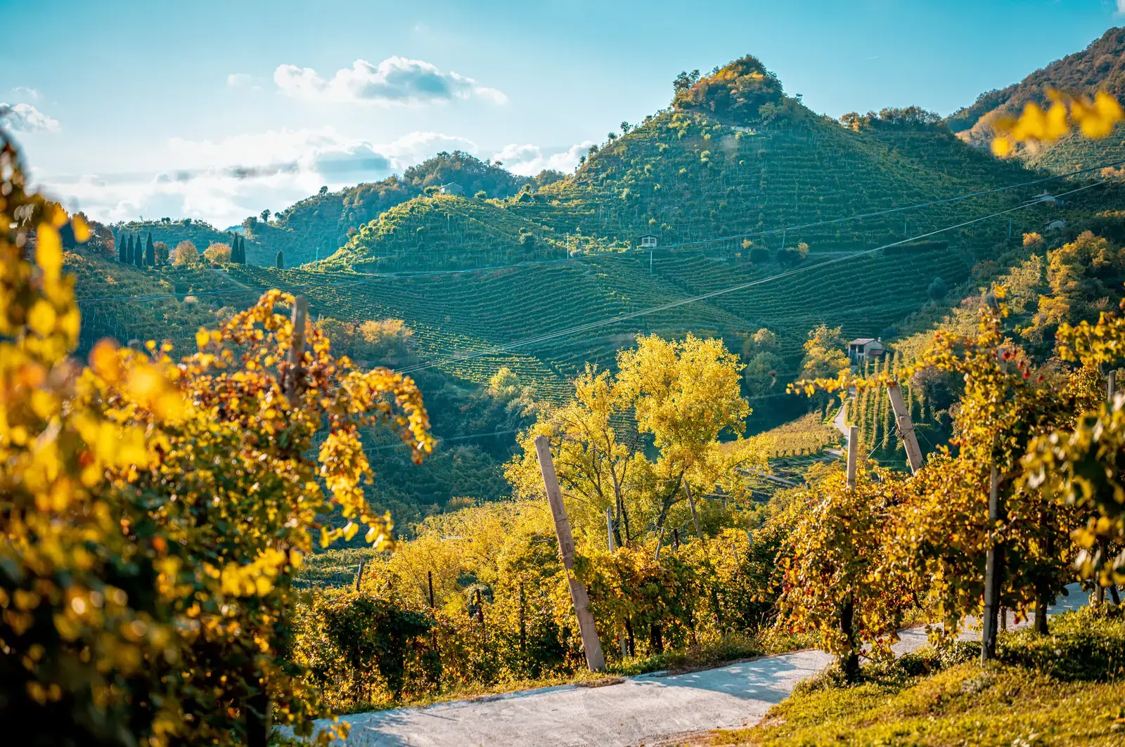 Le Colline del Prosecco UNESCO in autunno con vigneti e hogback