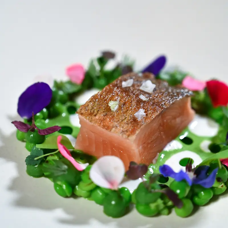 Trota con corona di erbe e fiori